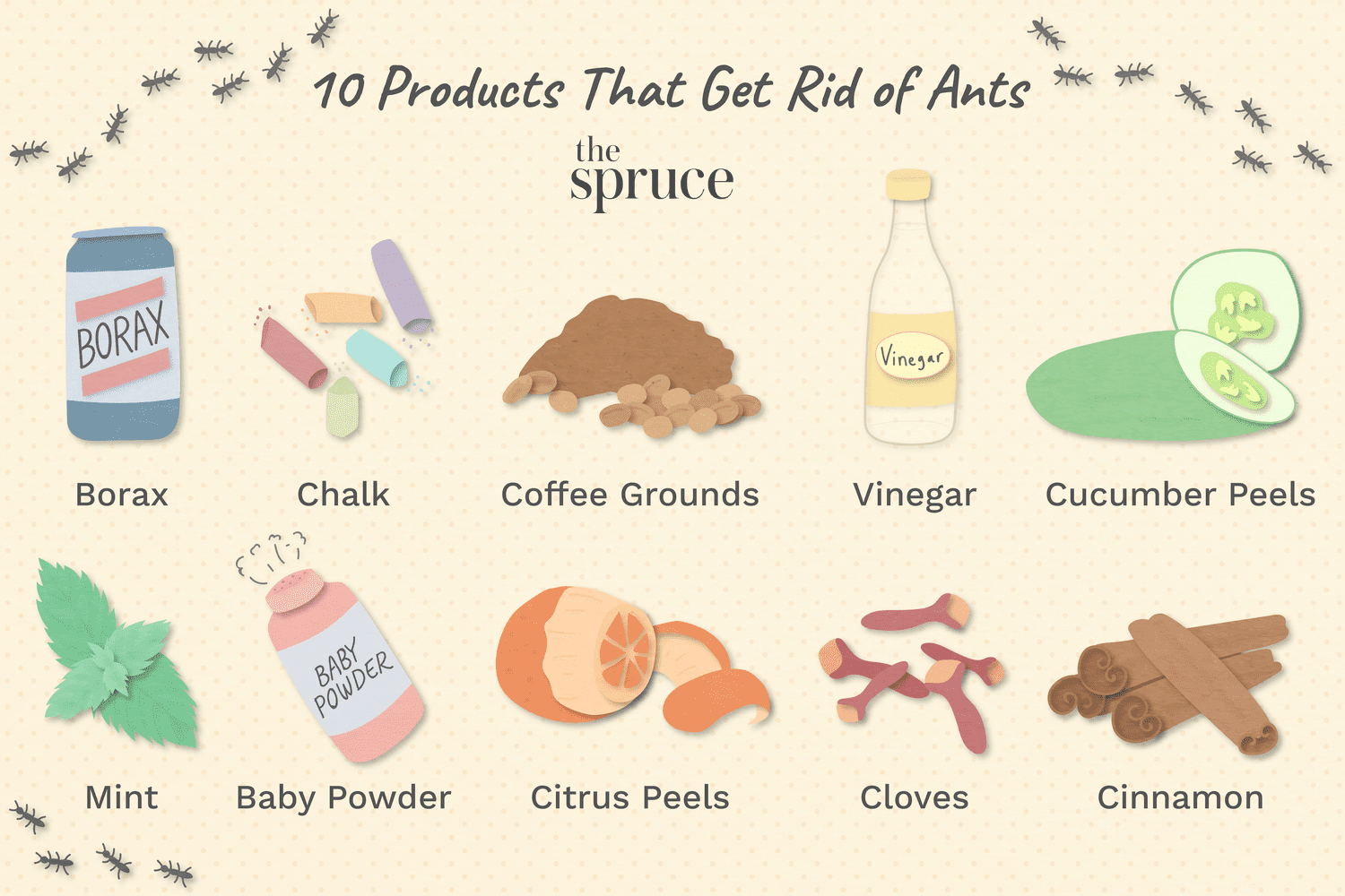What Can You Use Naturally to Get Rid of Ants