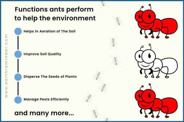 What Do Ants Do to Help the World