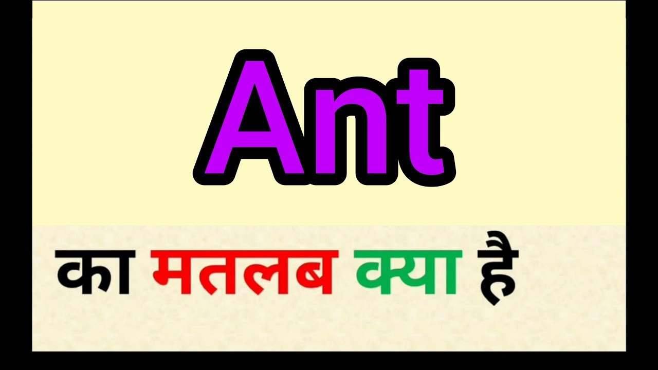 What is the Meaning of Ant in Hindi