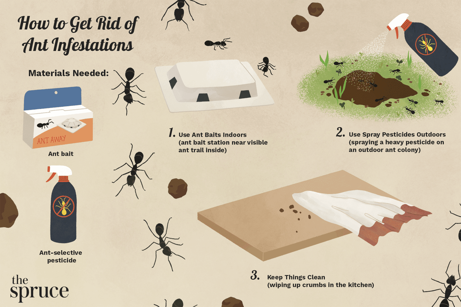 What to Do When You See Ants in House