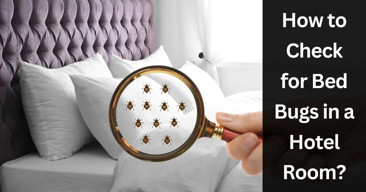 How to Check for Bed Bugs in a Hotel Room