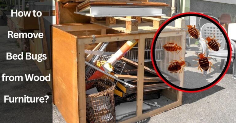 How to Remove Bed Bugs from Wood Furniture?