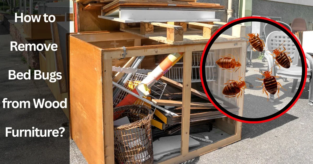 How to Remove Bed Bugs from Wood Furniture How to Remove Bed Bugs from Wood Furniture