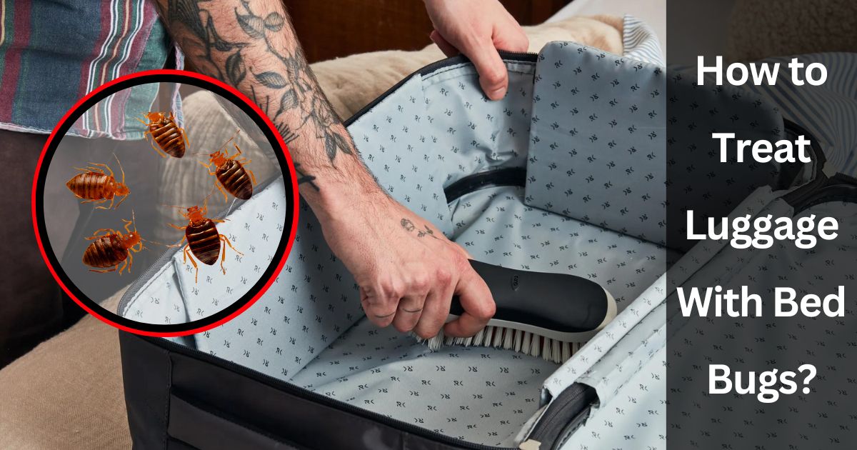 How to Treat Luggage With Bed Bugs