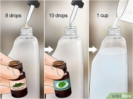 how to avoid cockroaches in bedroom How to Avoid Cockroaches in Bedroom?