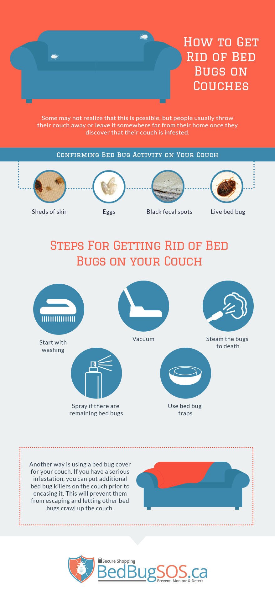 How to Get Rid of Bed Bugs from Furniture?
