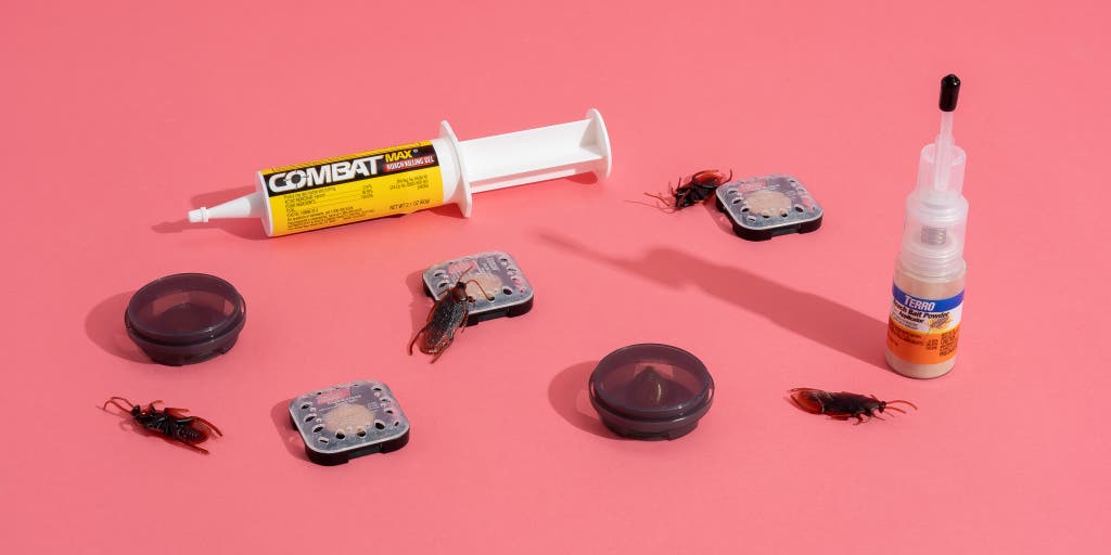What is the Best Roach Killing Bait?