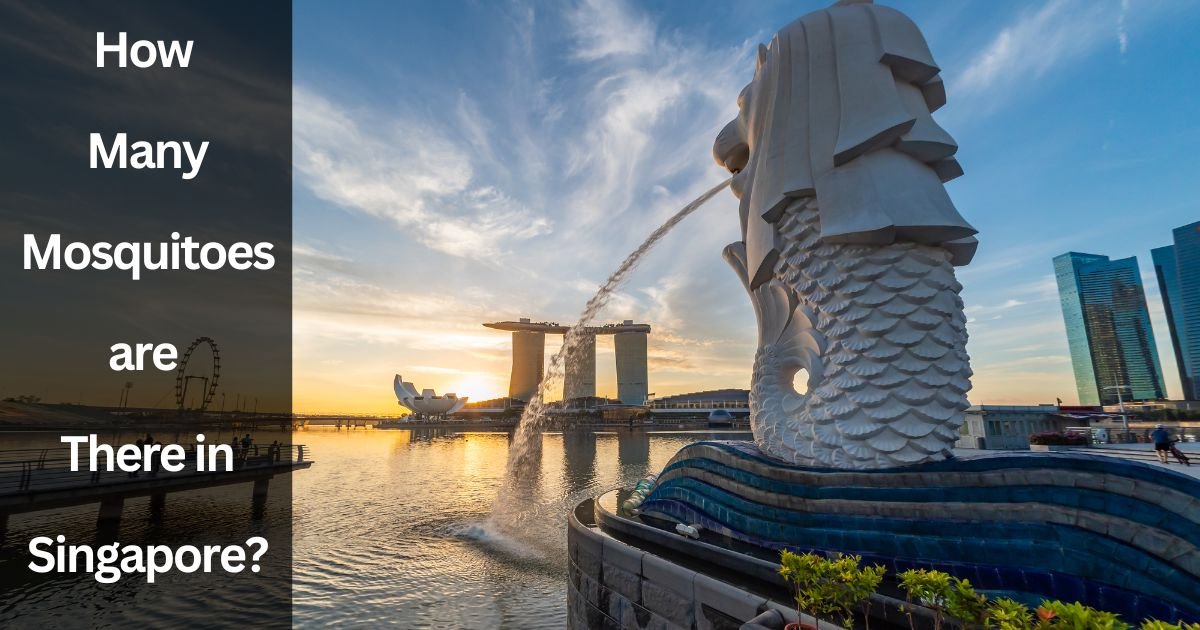 How Many Mosquitoes are There in Singapore