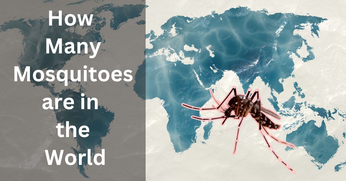 How Many Mosquitoes are in the World