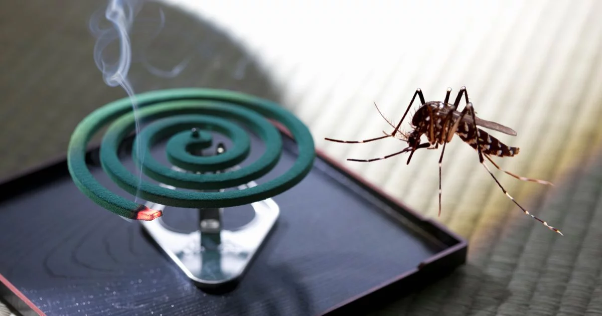 Is It Safe to Burn Mosquito Coils Indoors