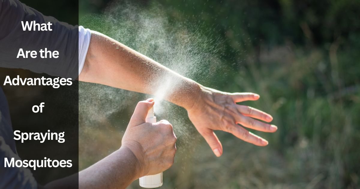 What Are the Advantages of Spraying Mosquitoes