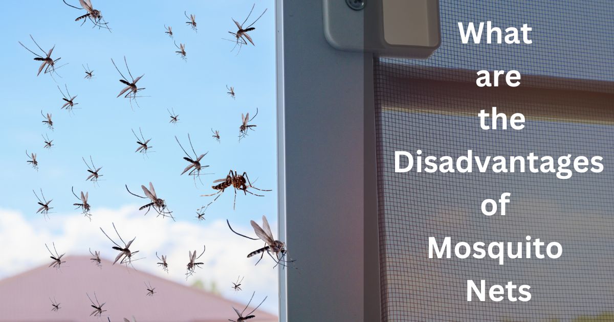 What are the Disadvantages of Mosquito Nets