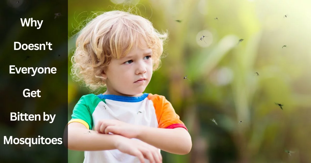 Why Doesn't Everyone Get Bitten by Mosquitoes