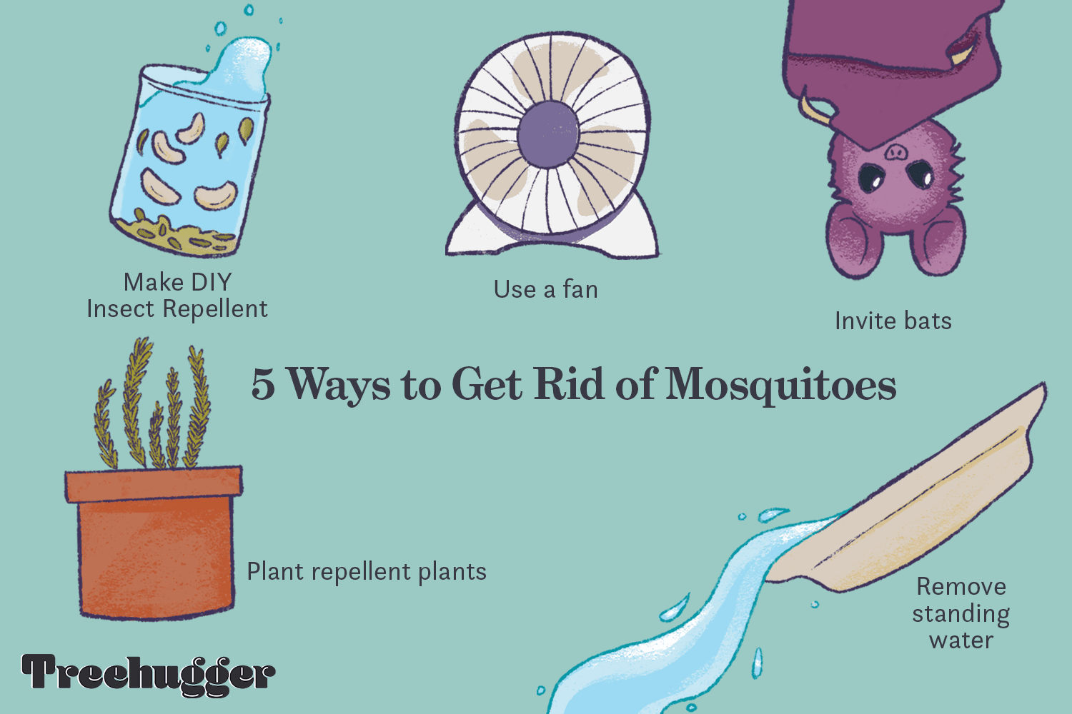 Easiest Way to Get Rid of Mosquitoes