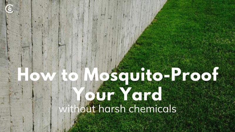 How Do I Mosquito Proof My Yard?