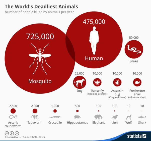 How Many People Have Mosquitoes Killed in Total?