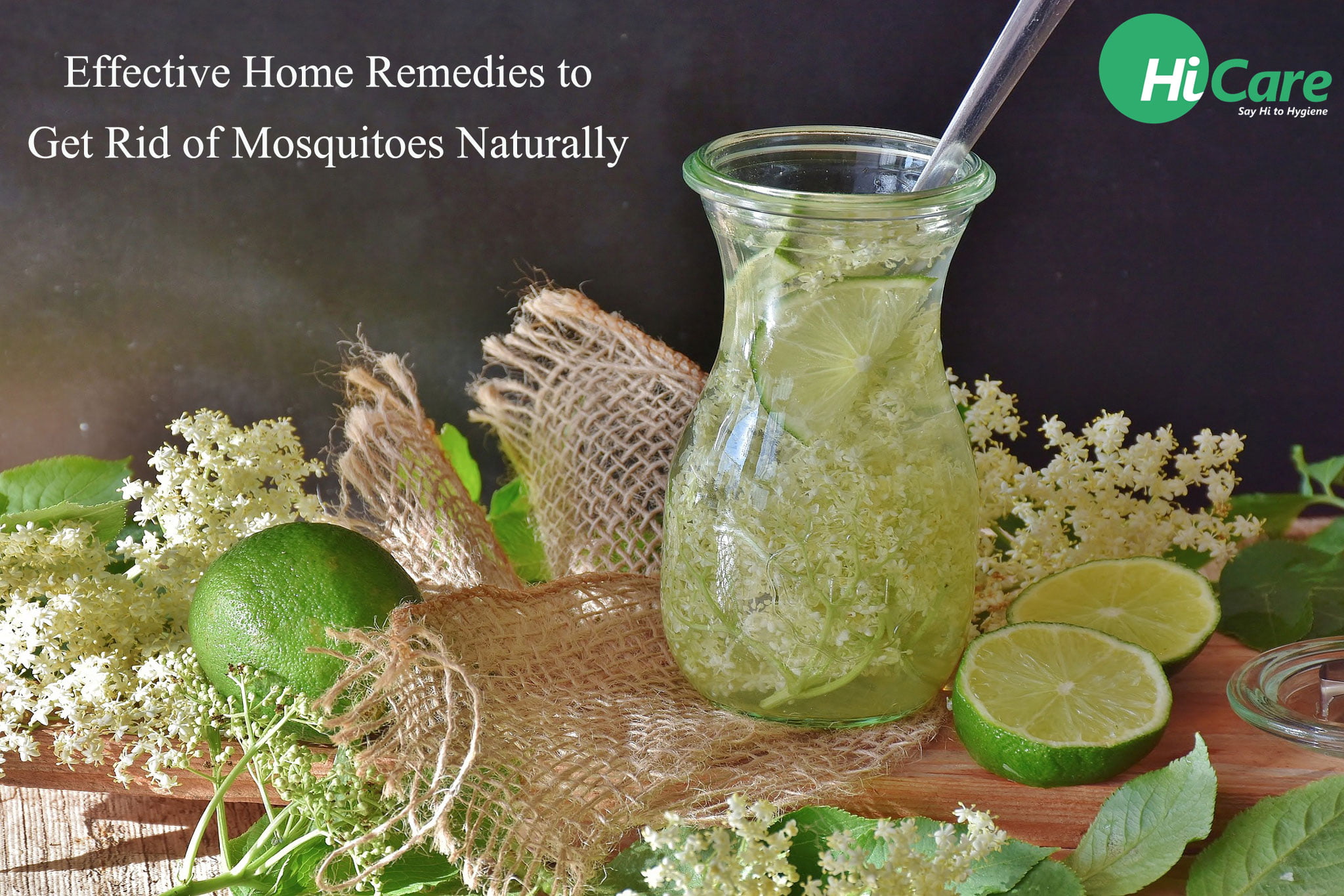 How to Avoid Mosquitoes at Home Naturally?