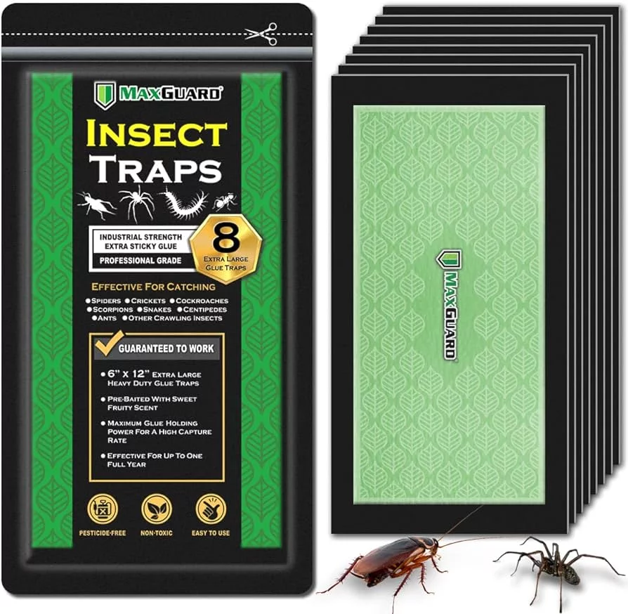 How to Catch Large Cockroaches?