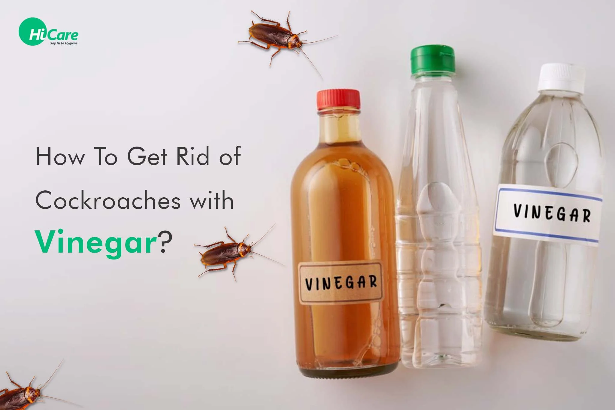 How to Prevent Cockroaches?