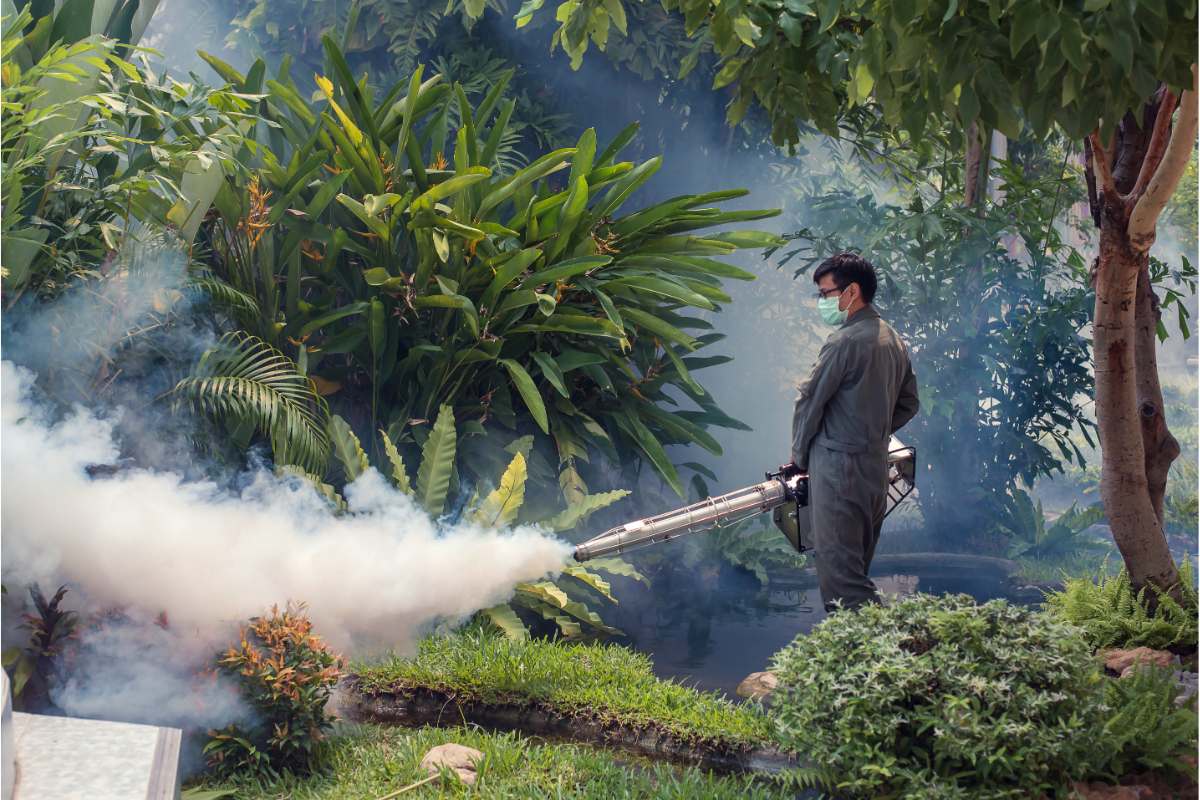 What are the Disadvantages of Mosquito Fogging?