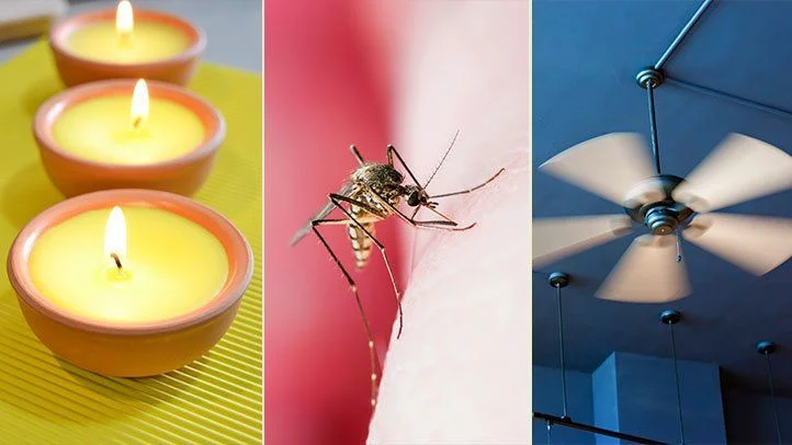 What Can You Put on Yourself to Keep Mosquitoes Away?