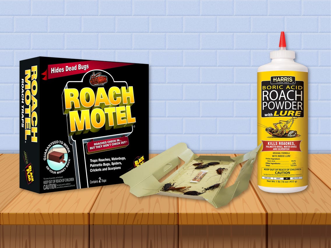 What Helps Prevent Roaches?