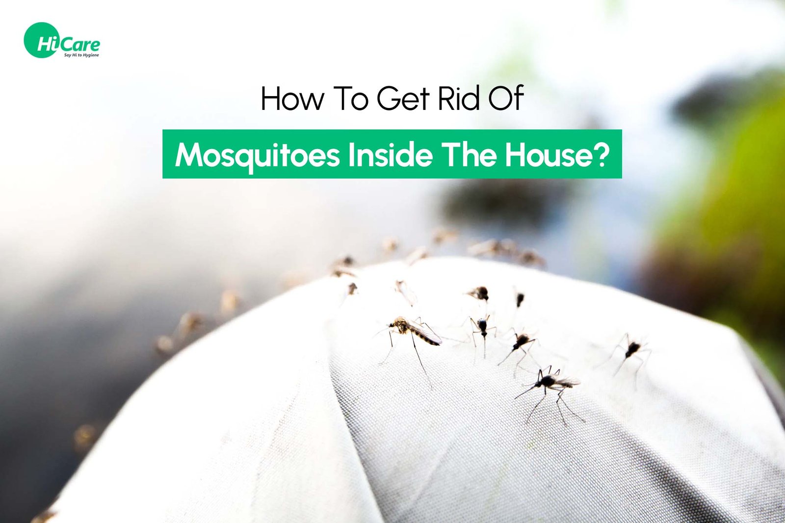 What is the Best Way to Kill Mosquitoes Inside the House?