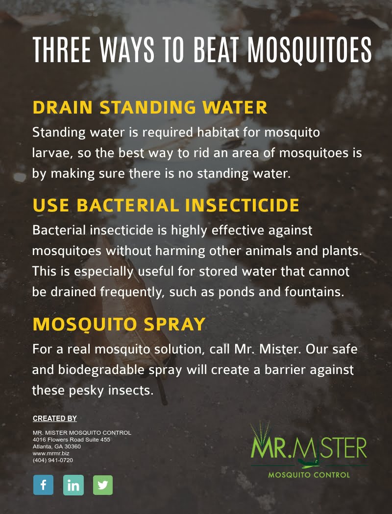 What to Put in Water to Prevent Mosquitoes?