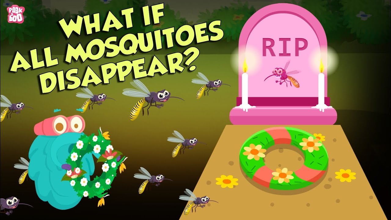 what would happen if mosquitoes disappeared What Would Happen If Mosquitoes Disappeared?