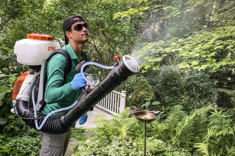 When is the Best Time to Spray for Mosquitoes in Michigan?