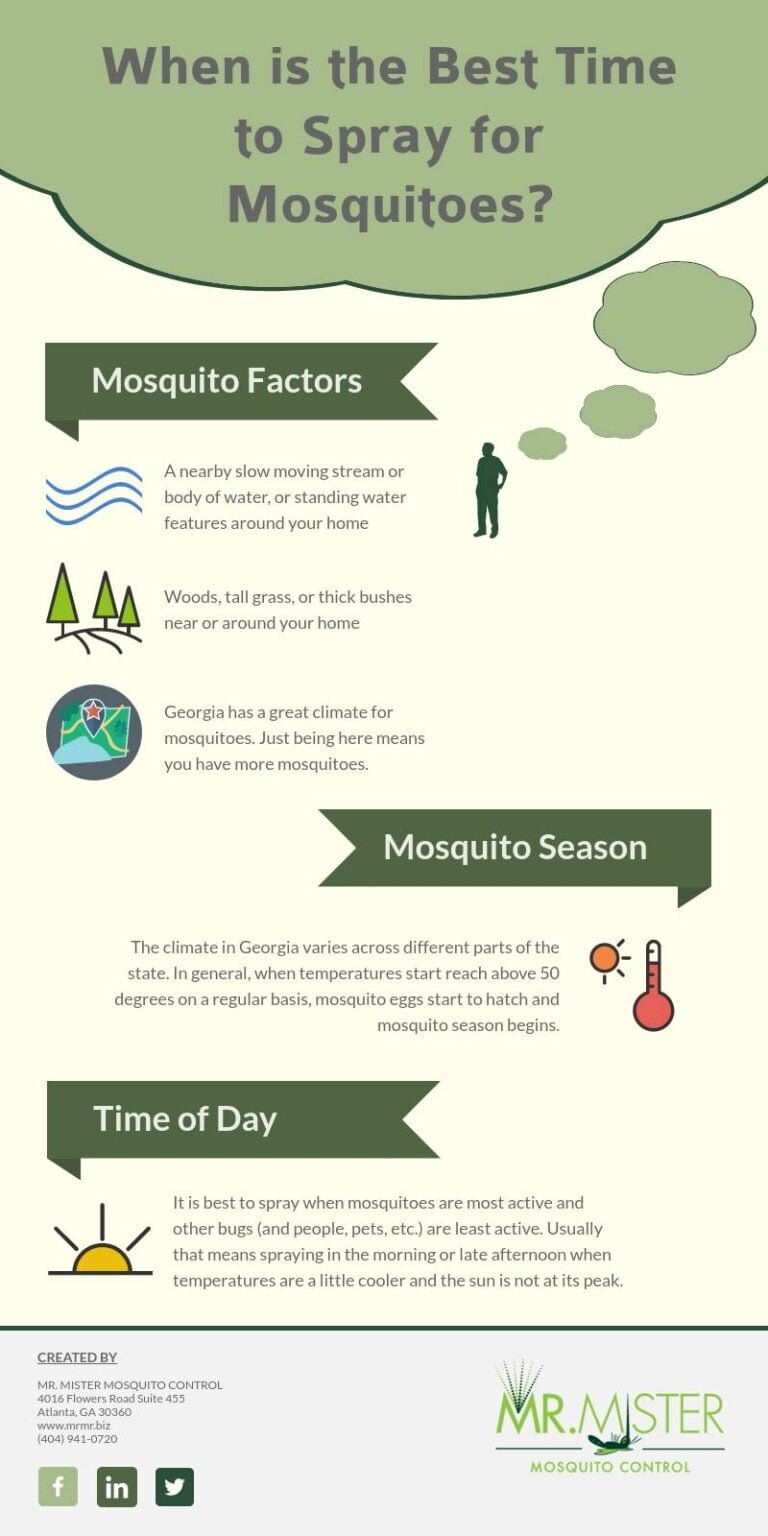 Best Time To Spray For Mosquitoes