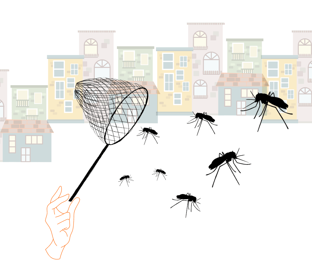 When is the Best Time to Trap Mosquitoes?