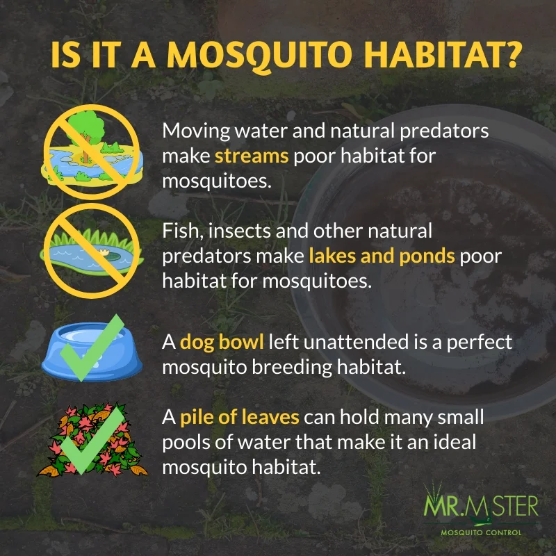 Will Mosquitoes Breed in Moving Water?