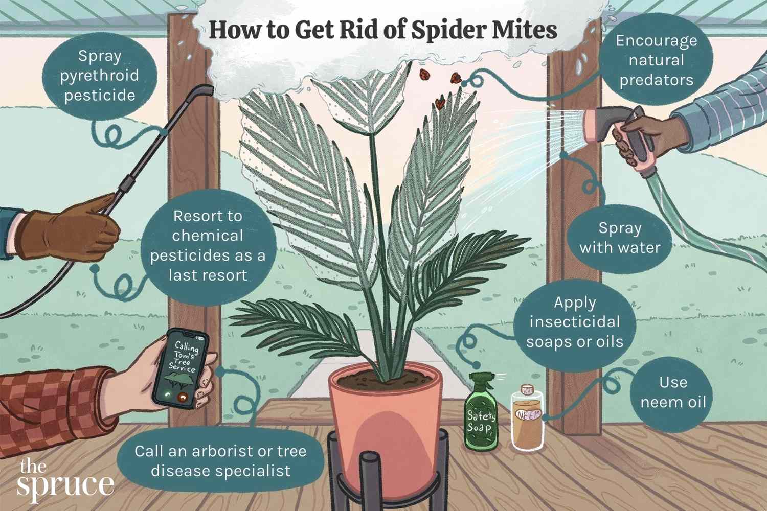 Easiest Way to Get Rid of Spider Mites