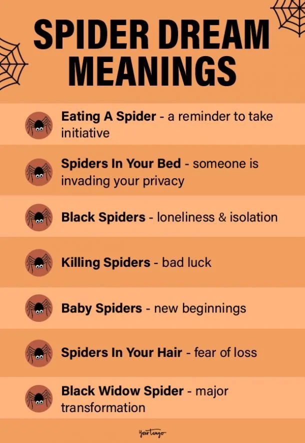 What is the Meaning of Spider in Your Dream?