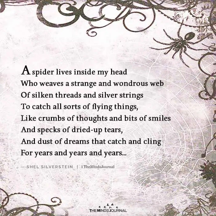 What is the Spiritual Significance of Spider?