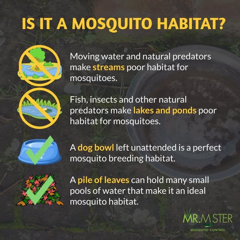 Will Mosquitoes Breed in Moving Water?