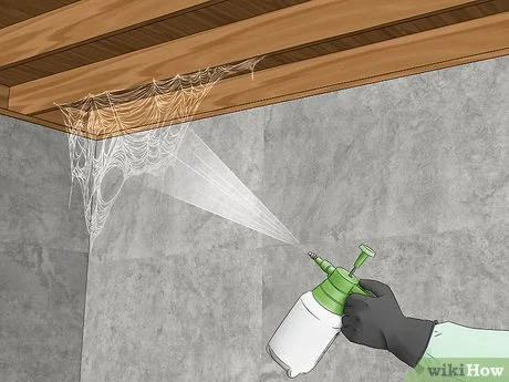 Best Way to Take down Spider Webs