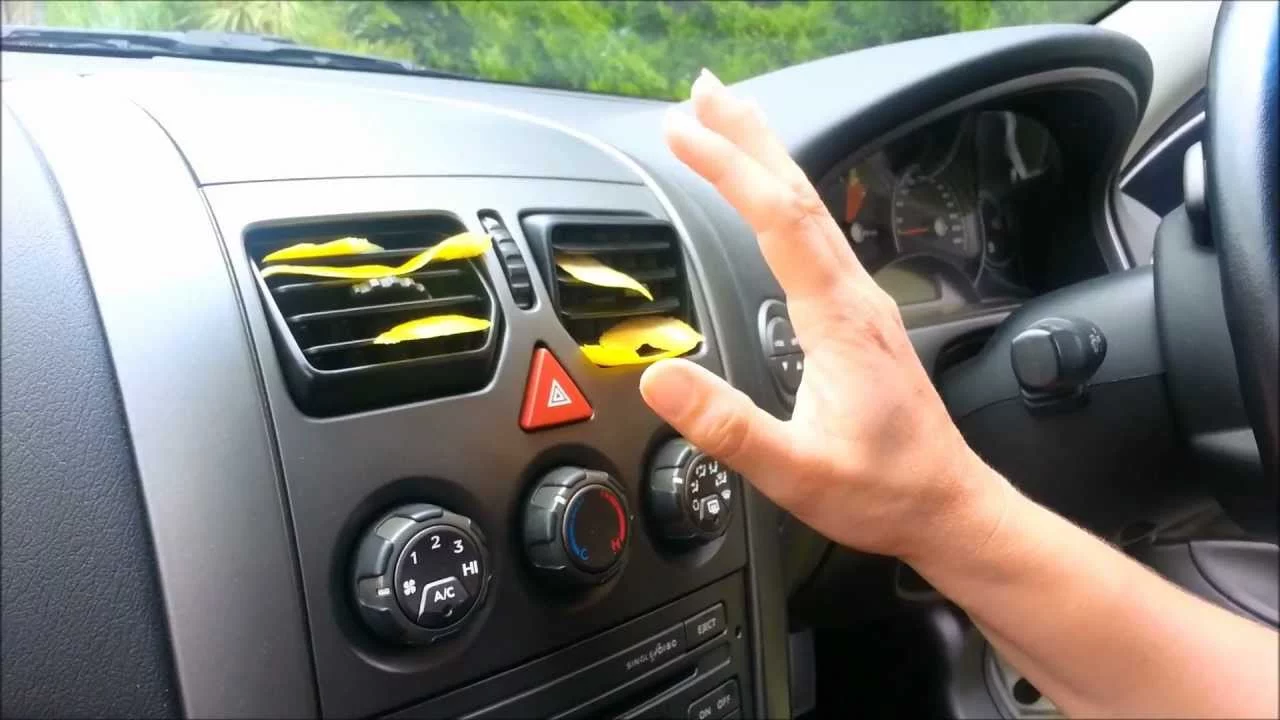 What to Do If Spider in Car?